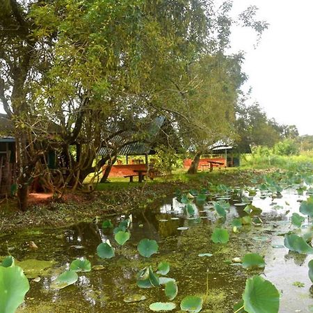 Meegahapokuna Resort Anuradhapura Luaran gambar