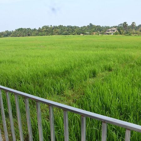Meegahapokuna Resort Anuradhapura Luaran gambar