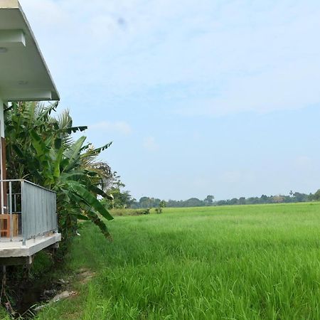 Meegahapokuna Resort Anuradhapura Luaran gambar