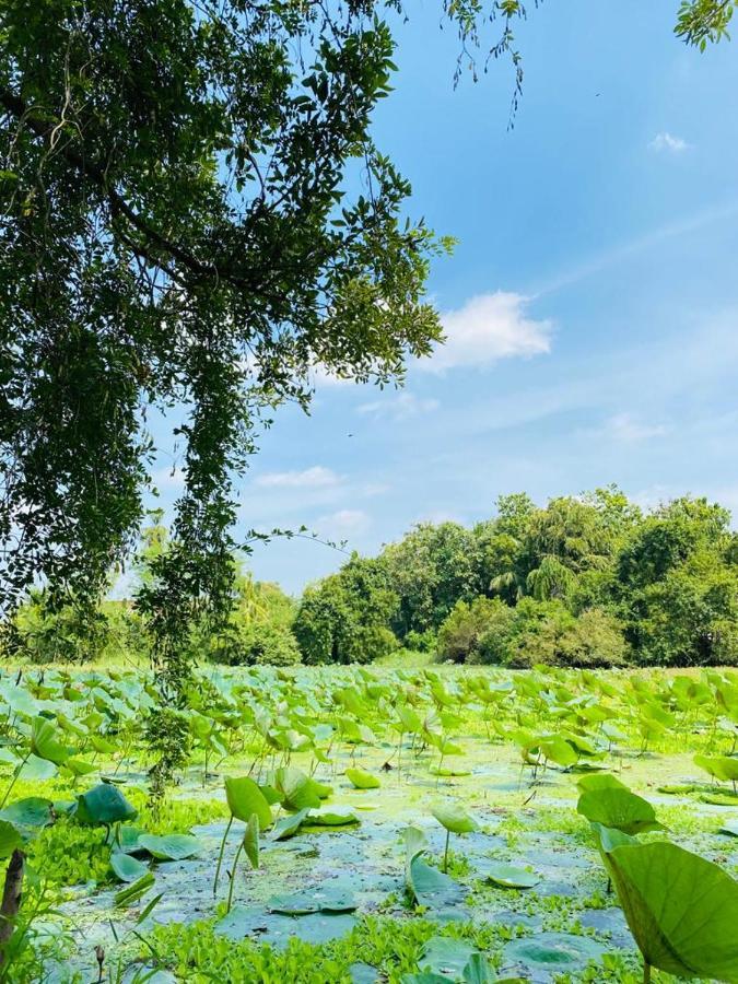 Meegahapokuna Resort Anuradhapura Luaran gambar