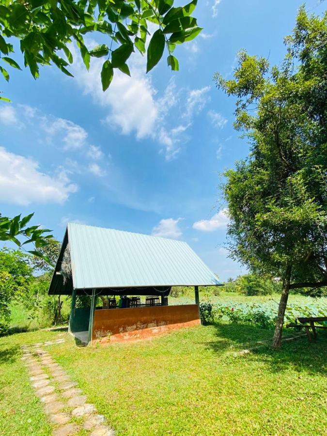 Meegahapokuna Resort Anuradhapura Luaran gambar