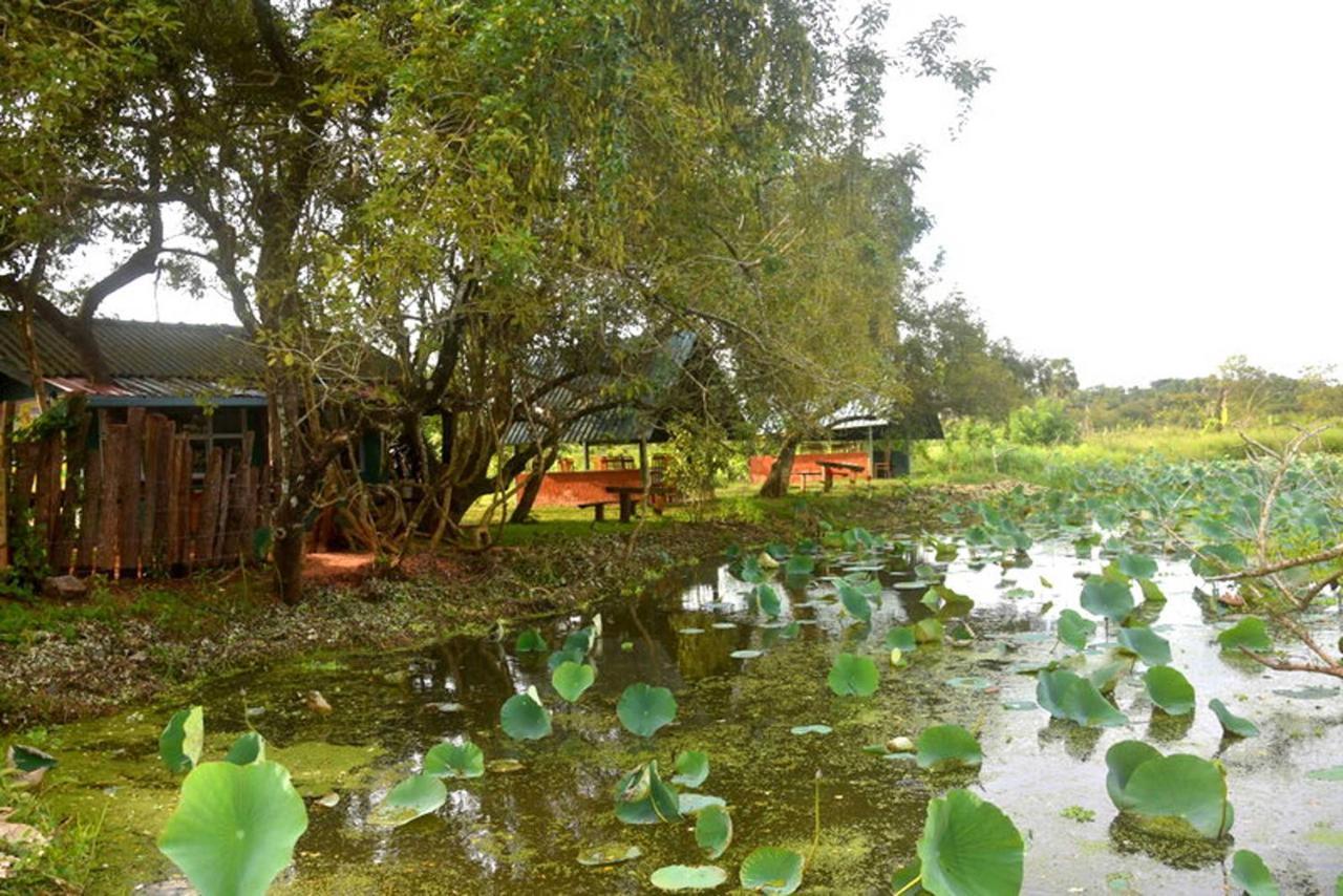 Meegahapokuna Resort Anuradhapura Luaran gambar