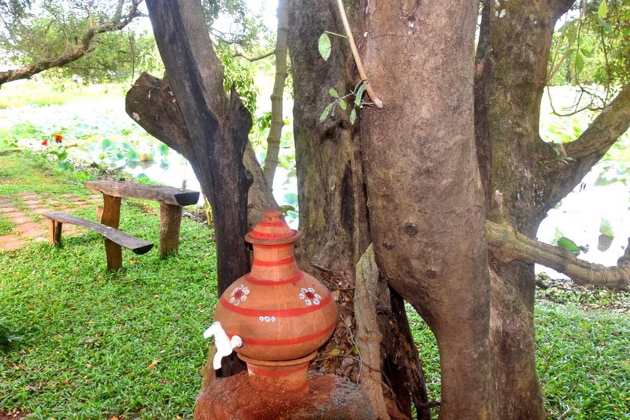 Meegahapokuna Resort Anuradhapura Luaran gambar