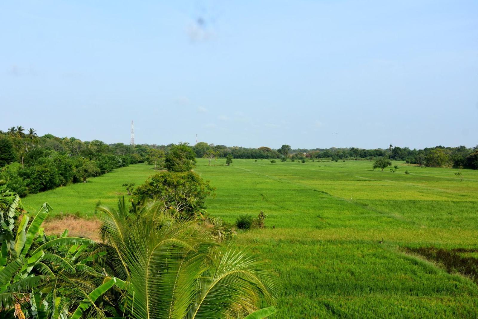 Meegahapokuna Resort Anuradhapura Luaran gambar