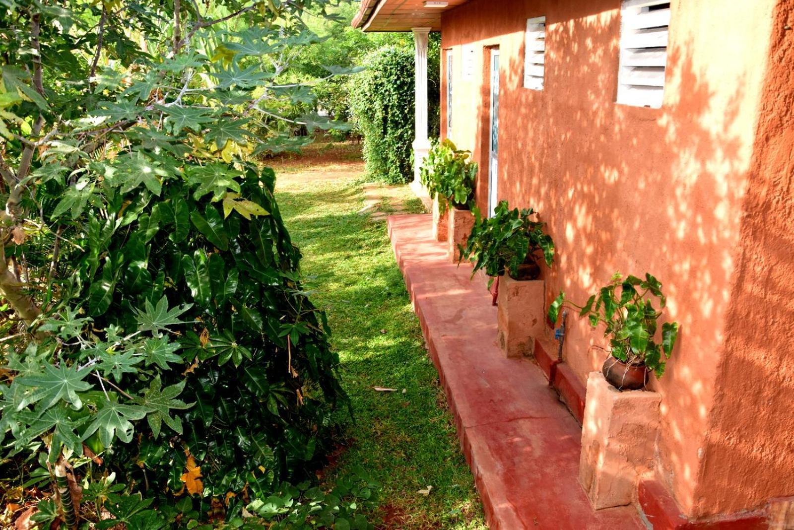 Meegahapokuna Resort Anuradhapura Luaran gambar