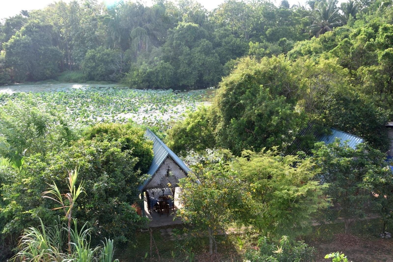 Meegahapokuna Resort Anuradhapura Luaran gambar