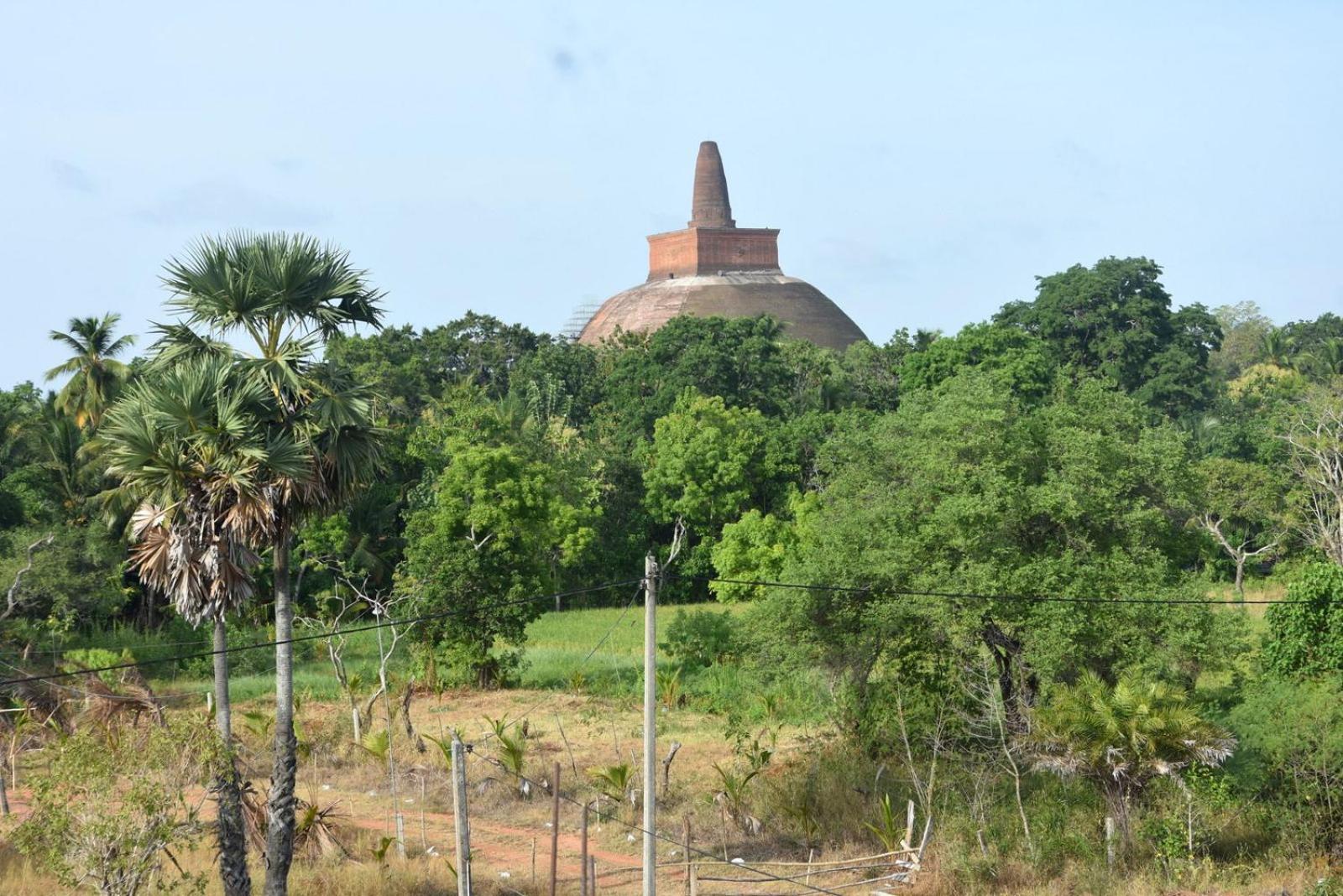 Meegahapokuna Resort Anuradhapura Luaran gambar