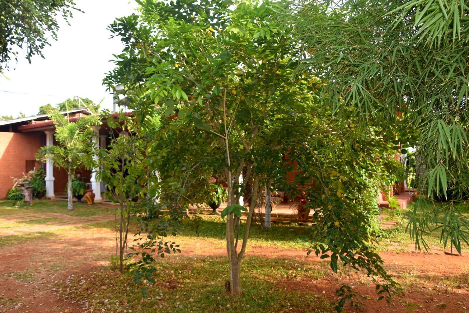 Meegahapokuna Resort Anuradhapura Luaran gambar