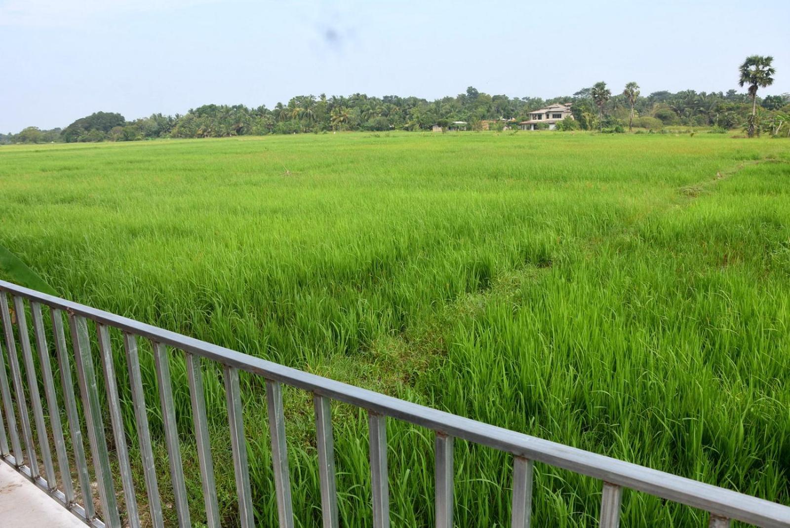 Meegahapokuna Resort Anuradhapura Luaran gambar