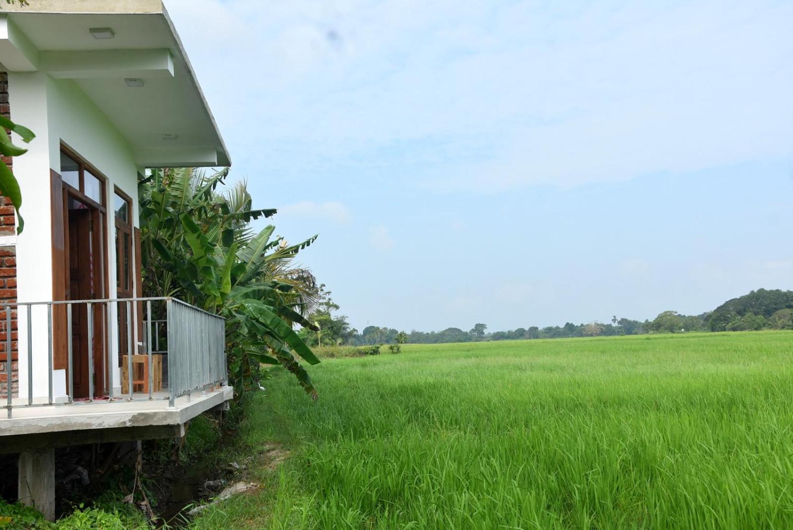 Meegahapokuna Resort Anuradhapura Luaran gambar